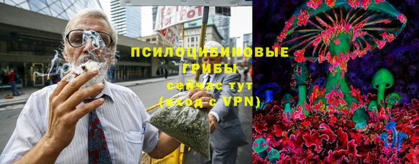 индика Балабаново