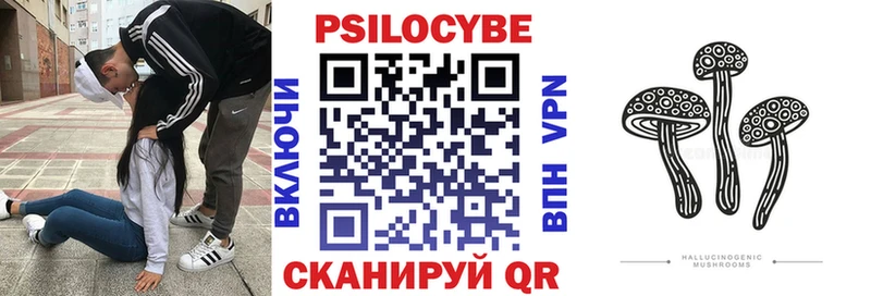 Псилоцибиновые грибы ЛСД  закладки  kraken ССЫЛКА  Нея 